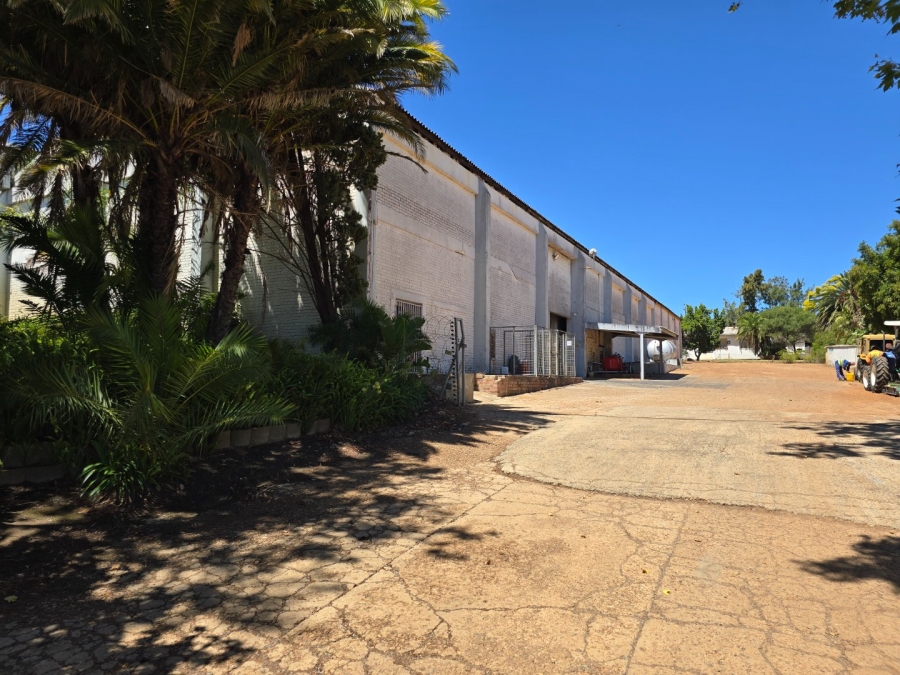 0 Bedroom Property for Sale in Stellenbosch Farms Western Cape